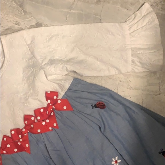 Ladybug Chambray Bubble Dress - Picture 3 of 10